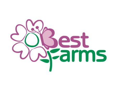 logo_900-2
